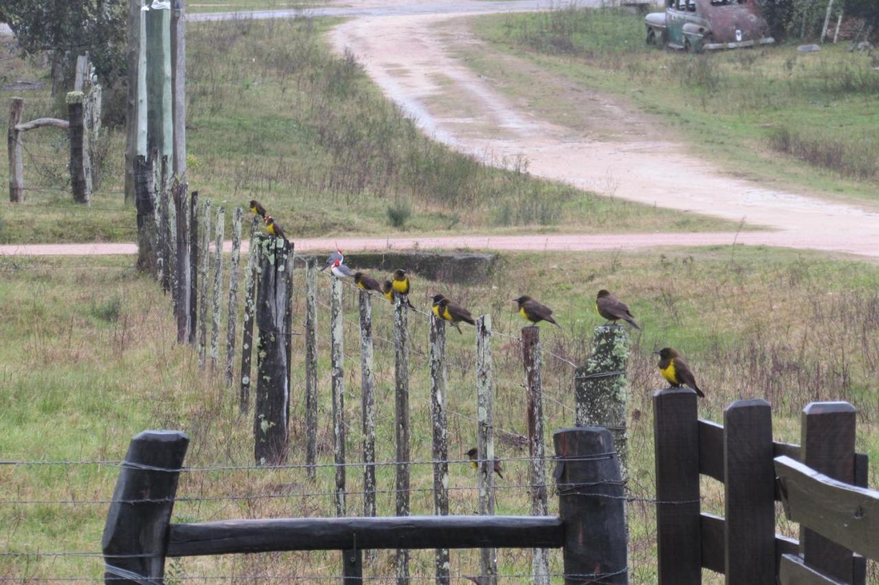 El Rancho De Chispero Lägenhet Isla Patrulla Exteriör bild